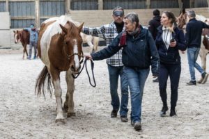 Participants et chevaux lors d'une formation d'équicoaching en entreprise