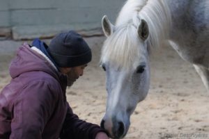 Relation avec le cheval lors d'une expérience d'équicoaching en Bretagne